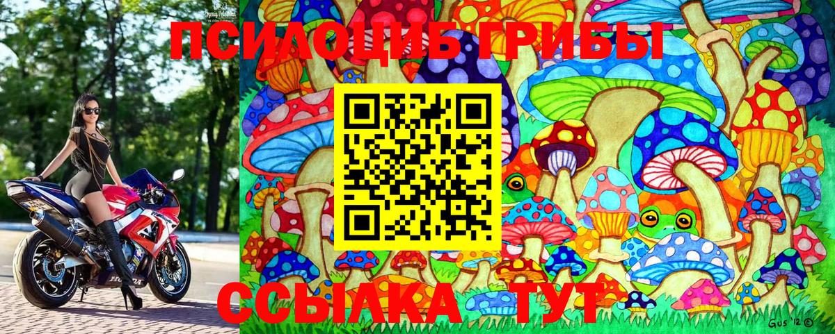 Галлюциногенные грибы GOLDEN TEACHER  Вход с VPN  Балахна  Псилоцибиновые грибы Magic Shrooms 